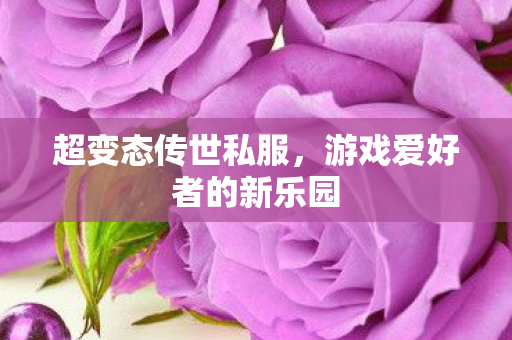 超变态传世私服，游戏爱好者的新乐园