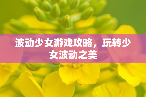 波动少女游戏攻略，玩转少女波动之美