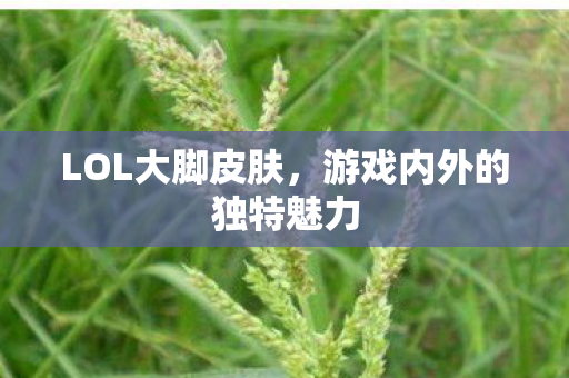 LOL大脚皮肤，游戏内外的独特魅力