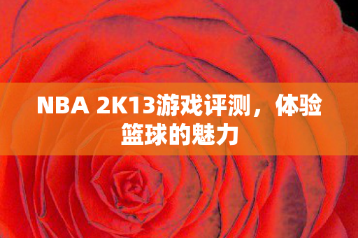 NBA 2K13游戏评测，体验篮球的魅力