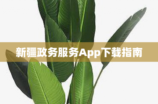 新疆政务服务App下载指南