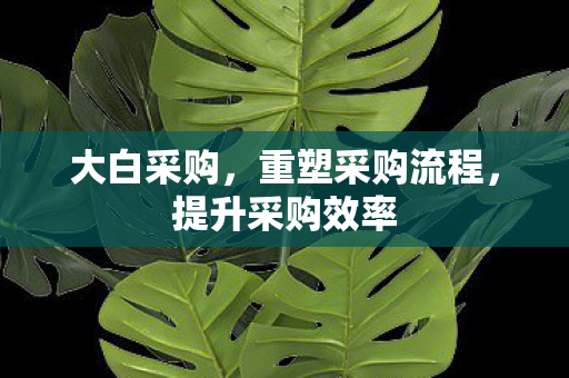 大白采购，重塑采购流程，提升采购效率
