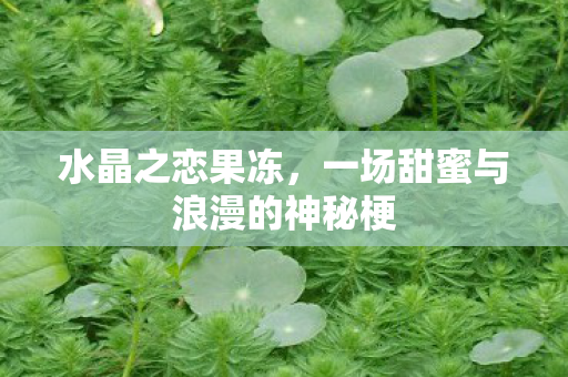 水晶之恋果冻，一场甜蜜与浪漫的神秘梗