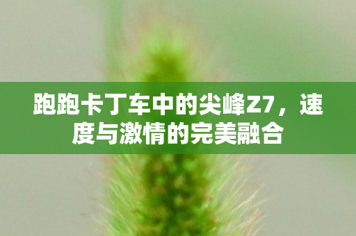 跑跑卡丁车中的尖峰Z7，速度与激情的完美融合