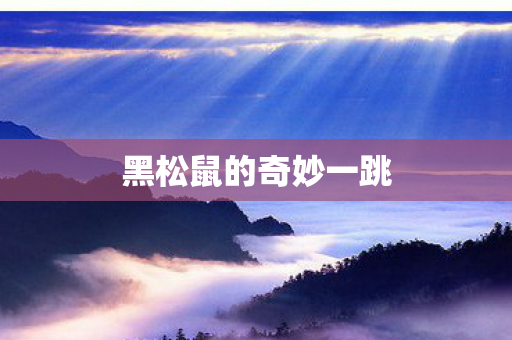 黑松鼠的奇妙一跳