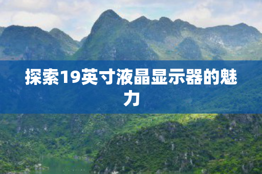 探索19英寸液晶显示器的魅力