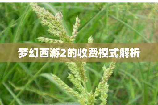 梦幻西游2的收费模式解析