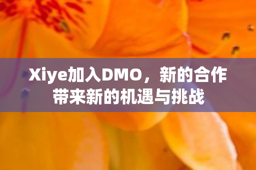 Xiye加入DMO，新的合作带来新的机遇与挑战