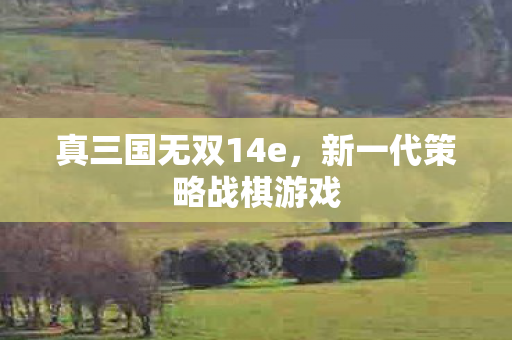 真三国无双14e，新一代策略战棋游戏