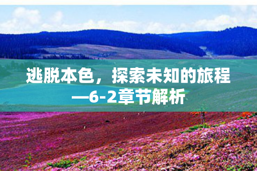 逃脱本色，探索未知的旅程—6-2章节解析