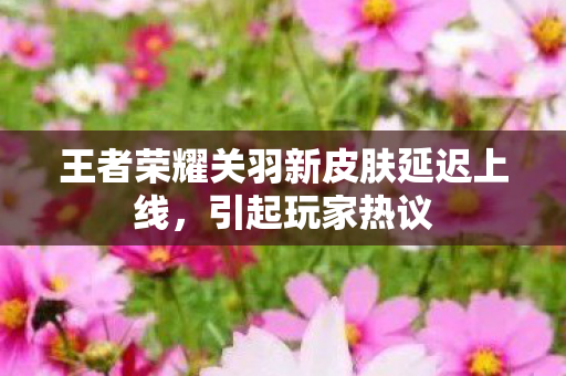 王者荣耀关羽新皮肤延迟上线，引起玩家热议