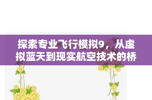 探索专业飞行模拟9，从虚拟蓝天到现实航空技术的桥梁