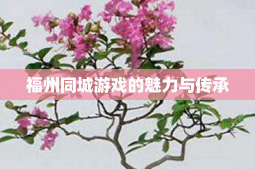 福州同城游戏的魅力与传承