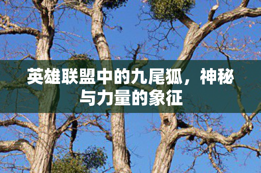 英雄联盟中的九尾狐，神秘与力量的象征