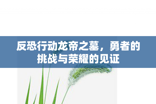 反恐行动龙帝之墓，勇者的挑战与荣耀的见证