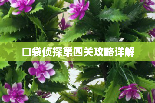 口袋侦探第四关攻略详解