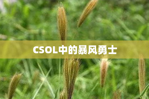 CSOL中的暴风勇士