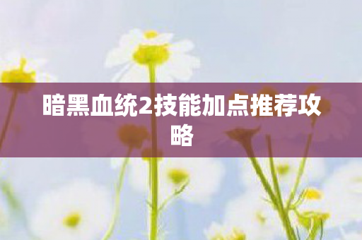 暗黑血统2技能加点推荐攻略