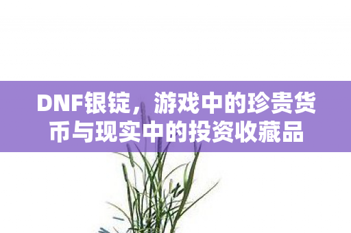 DNF银锭，游戏中的珍贵货币与现实中的投资收藏品