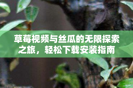 草莓视频与丝瓜的无限探索之旅,轻松下载安装指南 草莓视频与丝瓜的无限探索之旅,轻松下载安装指南