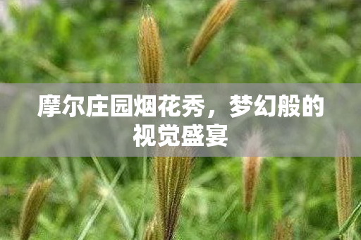 摩尔庄园烟花秀，梦幻般的视觉盛宴