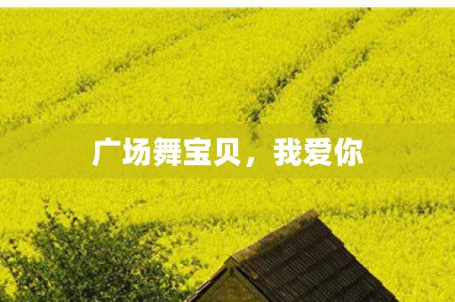 广场舞宝贝,我爱你 广场舞宝贝,我爱你