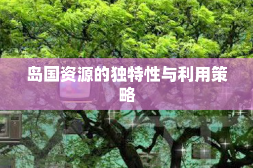 岛国资源的独特性与利用策略