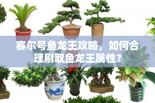 赛尔号鱼龙王攻略，如何合理刷取鱼龙王属性？