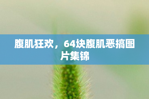 腹肌狂欢，64块腹肌恶搞图片集锦