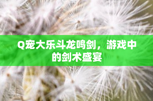 Q宠大乐斗龙鸣剑，游戏中的剑术盛宴