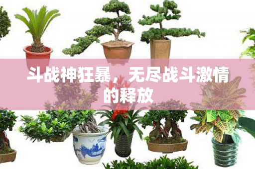 斗战神狂暴，无尽战斗激情的释放