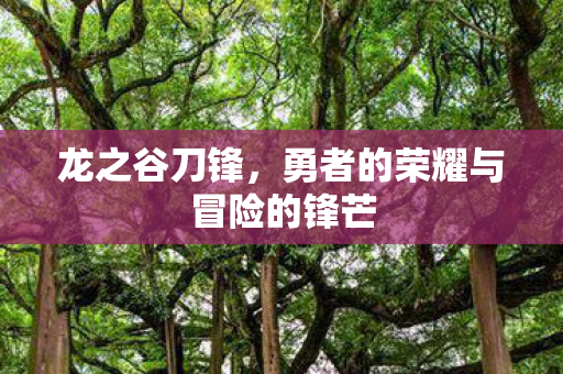 龙之谷刀锋，勇者的荣耀与冒险的锋芒