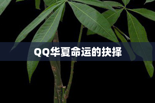 QQ华夏命运的抉择