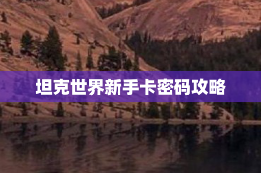 坦克世界新手卡密码攻略
