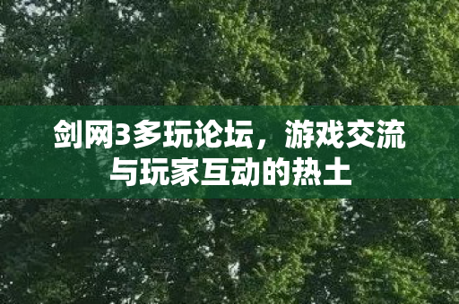 剑网3多玩论坛，游戏交流与玩家互动的热土
