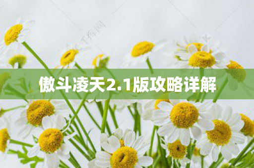 傲斗凌天2.1版攻略详解
