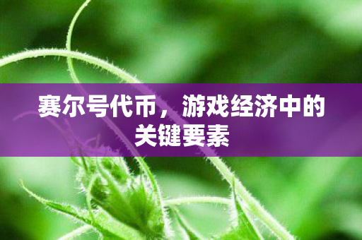 赛尔号代币，游戏经济中的关键要素