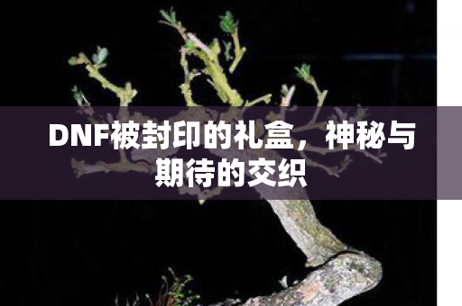 DNF被封印的礼盒，神秘与期待的交织