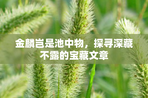 金麟岂是池中物，探寻深藏不露的宝藏文章