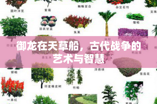 御龙在天草船，古代战争的艺术与智慧