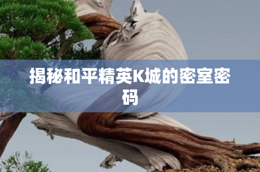 揭秘和平精英K城的密室密码