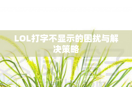 LOL打字不显示的困扰与解决策略