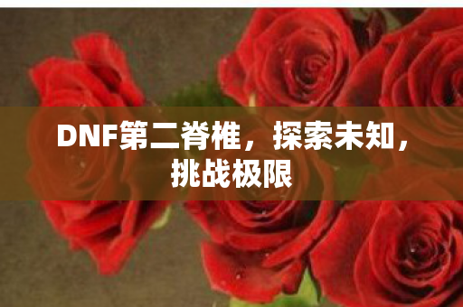 DNF第二脊椎，探索未知，挑战极限
