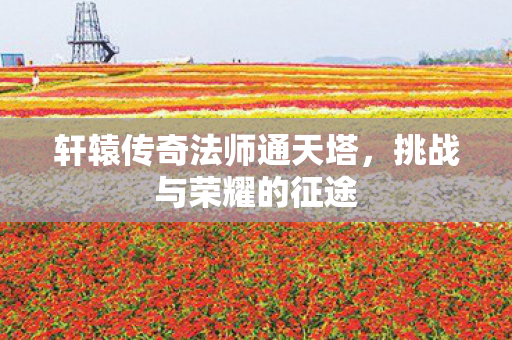 轩辕传奇法师通天塔，挑战与荣耀的征途