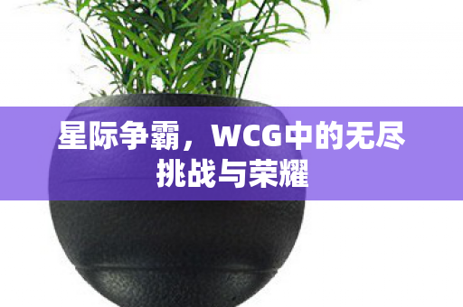 星际争霸，WCG中的无尽挑战与荣耀