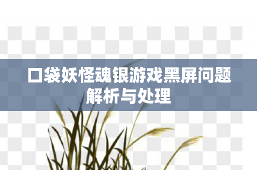 口袋妖怪魂银游戏黑屏问题解析与处理
