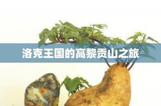 洛克王国的高黎贡山之旅