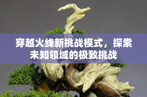 穿越火线新挑战模式，探索未知领域的极致挑战