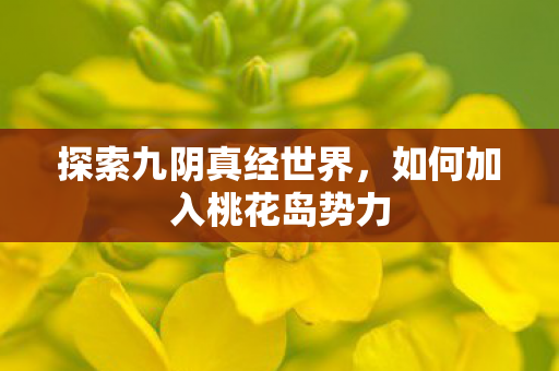 探索九阴真经世界，如何加入桃花岛势力