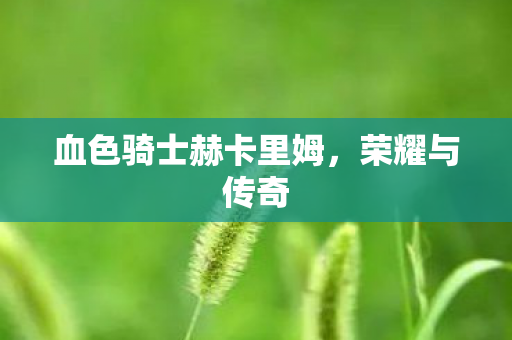 血色骑士赫卡里姆，荣耀与传奇